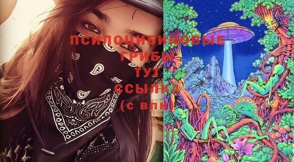дурь Балахна