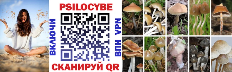 omg ссылка  Островной  Галлюциногенные грибы Psilocybe 
